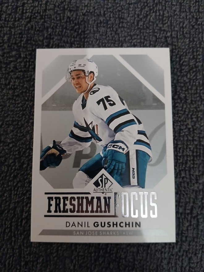 Danil Gushchin - Freshman Focus / San Jose Sharks