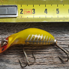 Heddon tiny tad! - pikkukuva 1
