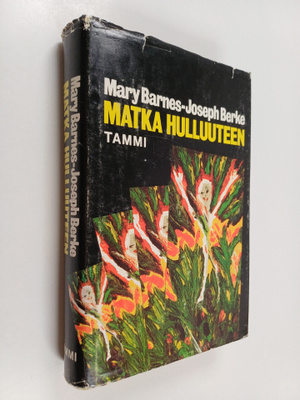 Mary Barnes : Matka hulluuteen