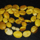 Baltic Amber EGG YOLK natural antique Itämeren meripihka - pikkukuva 1