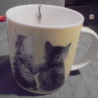 Kissa kuppi MEOW, rakastatko kissoja ja Spanieli kuppi - pikkukuva 2