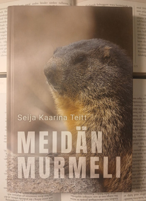 Seija Kaarina Teitt - Meidän murmeli (sid.)