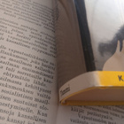 Louis-Ferdinand Celine - Niin kauas kuin yötä riittää (sid.) - pikkukuva 2