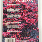 Riitta Raita : Ruskan aikaan - Luonnonläheisiä kukka-aset... - pikkukuva 2