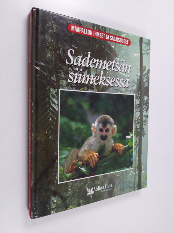 Linda Gamlin : Sademetsän siimeksessä