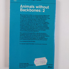 Ralph Buchsbaum : Animals without Backbones 2 - pikkukuva 2