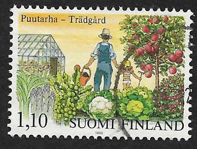 Puutarhamme 1982 (LAPE 896) O