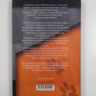 Ritva Kokkola : Koira katoaa : nuorisoromaani (signeerattu) - pikkukuva 2