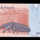 Venezuela 10 Bolivar V.2018 - pikkukuva 2