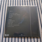 Lost Society – If The Sky Came Down lp 2022+nimmarikuva uusi - pikkukuva 2