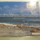 CD - CELINE DION : A NEW DAY HAS COME -02 - pikkukuva 2