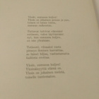 Herman Hesse: Huilunsoittaja - pikkukuva 2