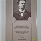 August Strindberg : Hullun puolustuspuhe - pikkukuva 2