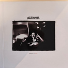 Joe Strummer & the Mecaleros 002 vinyyli boksi - pikkukuva 1