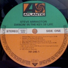 STEVE ARRINGTON::DANCIN'IN THE KEY OF LIFE:VINYYLI LP 1985 - pikkukuva 3