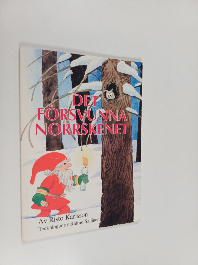 Risto Karlsson : Det försvunna norrskenet