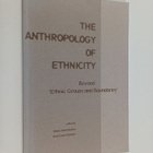 The anthropology of ethnicity : beyond 'Ethnic groups and... - pikkukuva 1