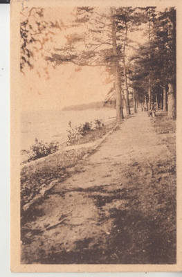 Terijoki kortti.