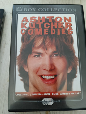 Aston kutcher comedies