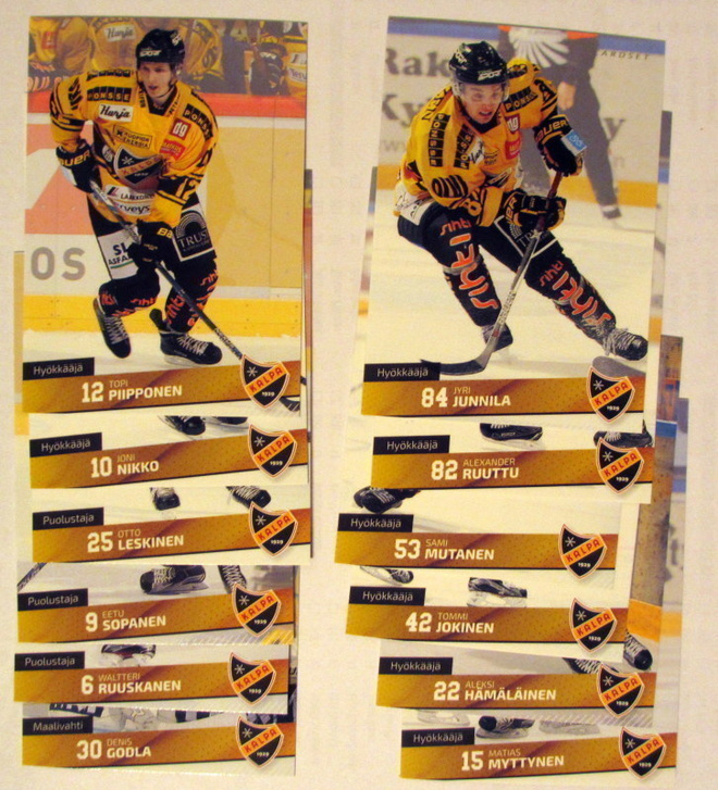 Cardset 2016-17 Kalpa 253-264 teamset