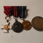 Kunniamerkkiripa - Miniatyyri - pikkukuva 1