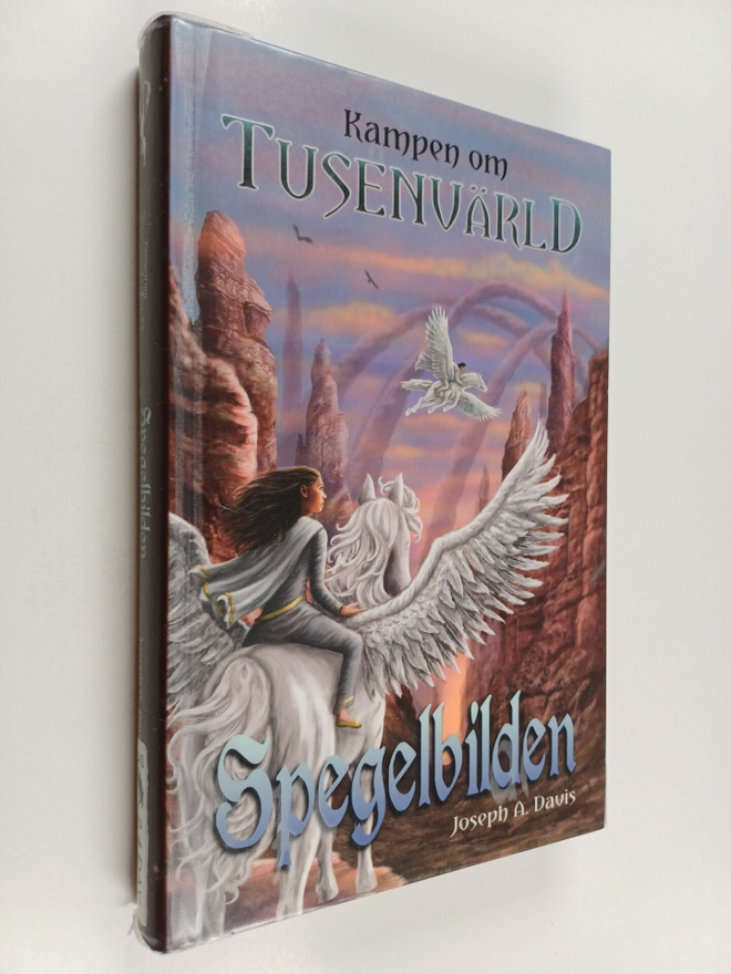 Joseph A. Davis : Spegelbilden