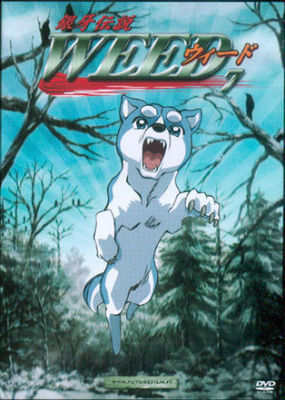 Weed 7 - Hopeanuolen Poika - DVD