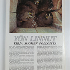 Pekka Helo : Yön linnut : kirja Suomen pöllöistä - pikkukuva 2