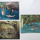 Postikortti 1960-luku | 3 kpl Kon-Tiki | kulkematon - pikkukuva 1
