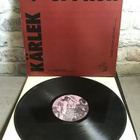 EBBA GRÖN: Kärlek & Uppror Lp levy - pikkukuva 2