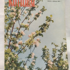 Kotiliesi toukokuu n:o 10 1955 - pikkukuva 1