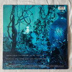 Enya – Shepherd Moons LP - pikkukuva 2