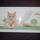 Royal Canin kissatarjotin, muovia - pikkukuva 1