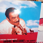 LP Andre Williams  & The Sadies : Red Dirt ( SIS POSTIKULU - pikkukuva 1