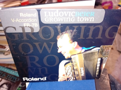 CD LUDOVIC BEIER : Growing Town ( SIS POSTIKULU  )