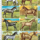 *PZB 1314, upeat hevoset, tupla-arkki, 34x23,5cm* - pikkukuva 2