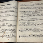 VANHA NUOTTIVIHKO SÄVELSEPPO MALMSTEN VIOLINO 1 - pikkukuva 2