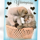 Kissa & Koira... °°LÄMPÖISTÄ YSTÄVÄNPÄIVÄݰ -KORTTI - pikkukuva 1