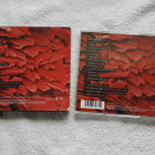 Peter Gabriel – Scratch My Back CD - pikkukuva 4