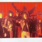 Ramones Animal Boy valokuva 30*45 cm DuBose Signeraus - pikkukuva 1