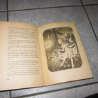 Satu-tyttö ja Ville-vekkuli ; juuso sarkka v 1947 - pikkukuva 2