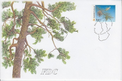 FDC 2002 3,5€ Mänty