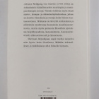 Johann Wolfgang von Goethe : Mietelmiä - pikkukuva 2