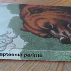 Simo Penttilä: Kapteenin perintö, Otava 1973. 3p. 204 s. - pikkukuva 3