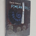 David Almond : Pimeän peli - pikkukuva 1