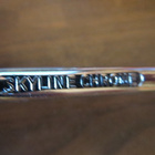 Skyline Chrome kauha + haarukka 1960-luku - pikkukuva 2