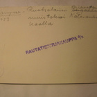 VANHA Postikortti Tampere 1930-l  Alkup.Mallikappale - pikkukuva 2