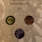 KRISTIINA WALLIN: JALANKANTAMA - pikkukuva 1