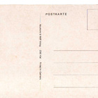 PUDEL "HOPEA VILLAKOIRA "  POSTIKORTTI - pikkukuva 2