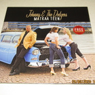 *LP* JOHNNY & THE DODGERS Matkaa Teen - pikkukuva 1